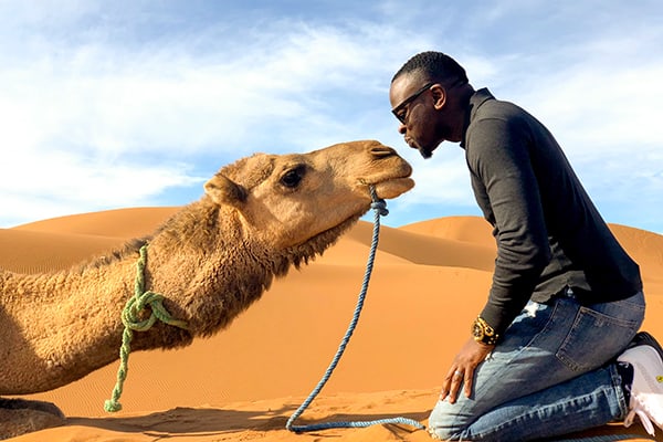 Camel bonding