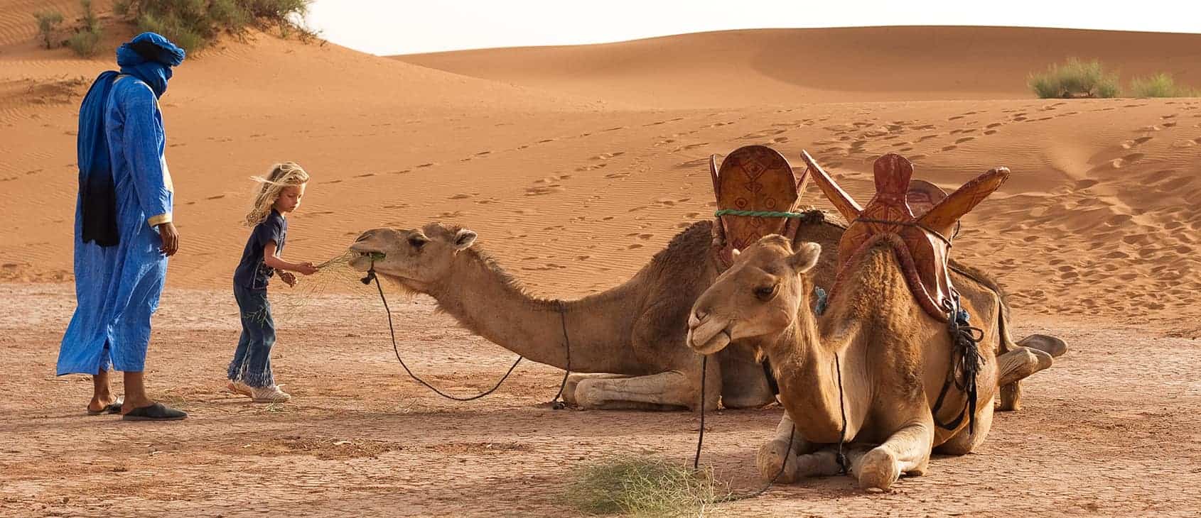 Young girl feeding a camel